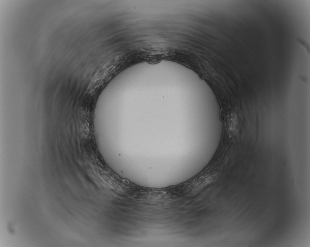 X0000103450916200809261813