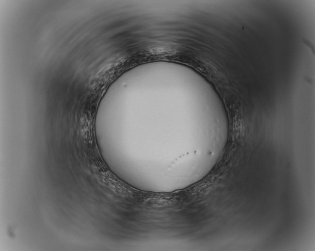 X0000103450917200809261813