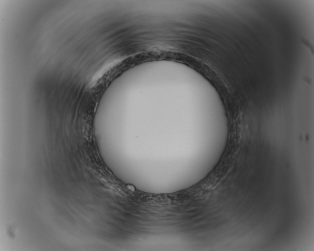 X0000103450919200809261813