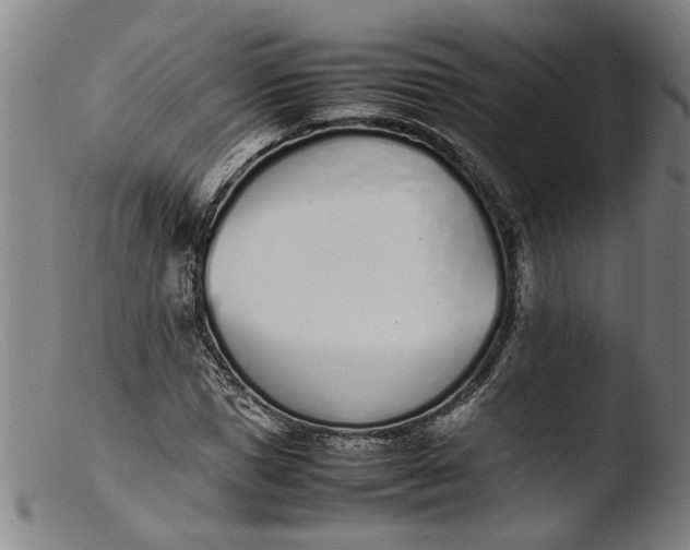 X0000103450921200809261813