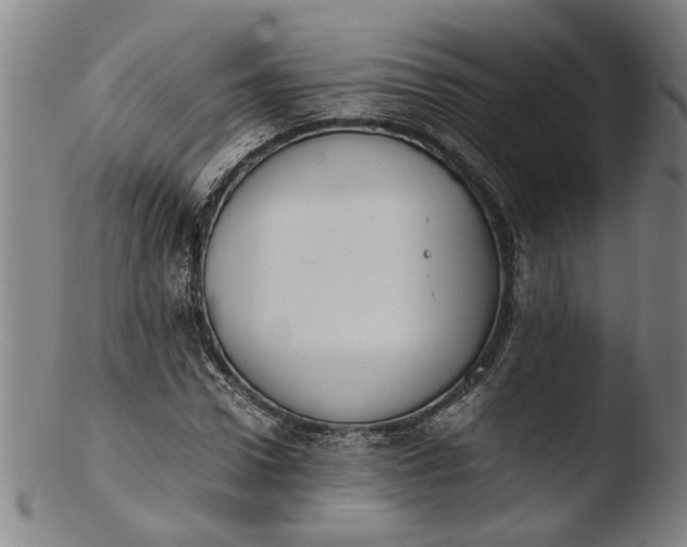 X0000103450922200809261813