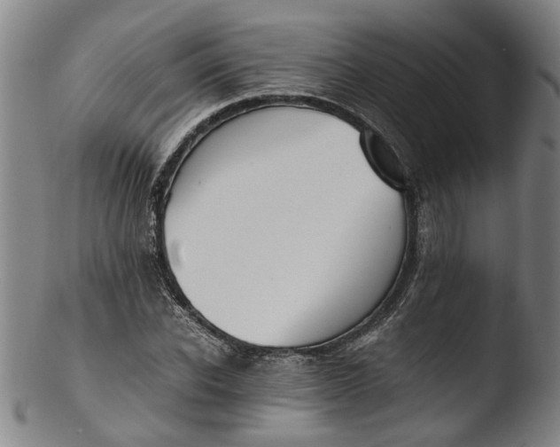 X0000103450926200809261813