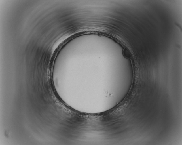 X0000103450928200809261813