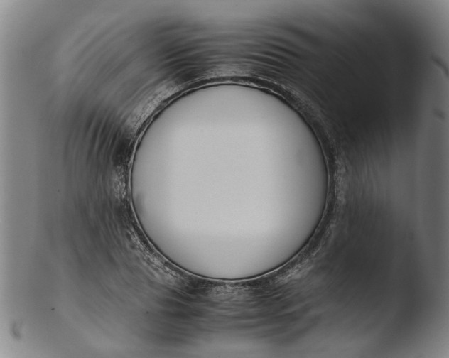 X0000103450929200809261813