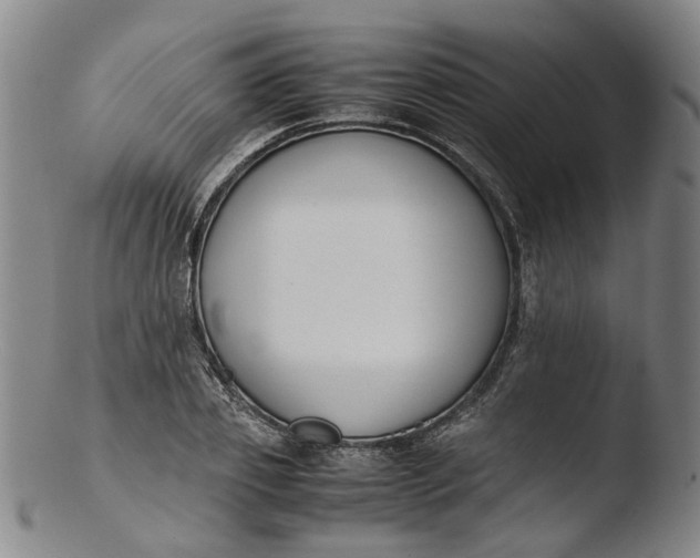 X0000103450933200809261813