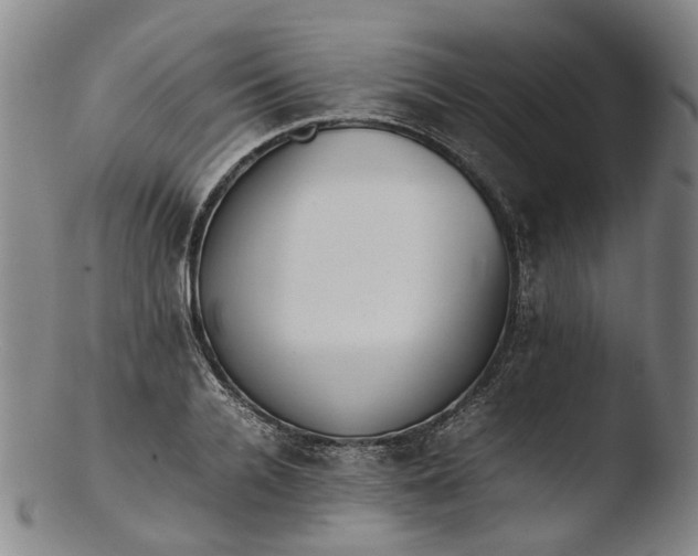 X0000103450936200809261813