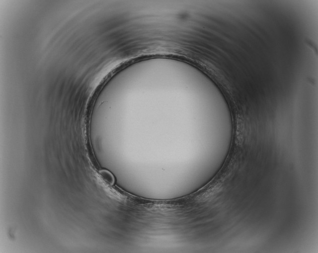 X0000103450942200809261813