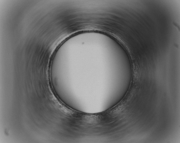 X0000103450943200809261813