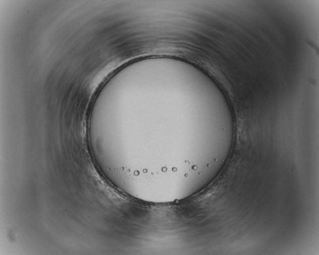 X0000103450944200809261813