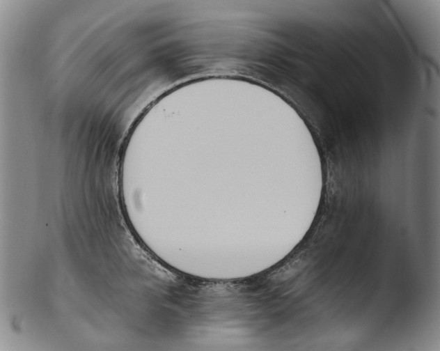 X0000103450950200809261814