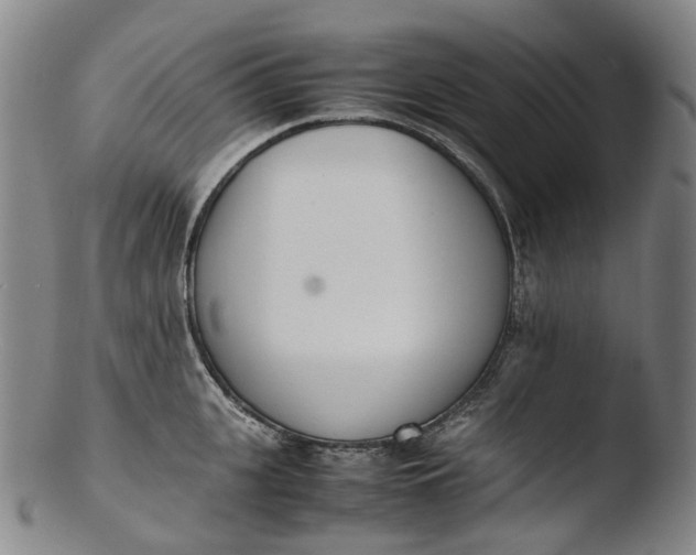 X0000103450951200809261814