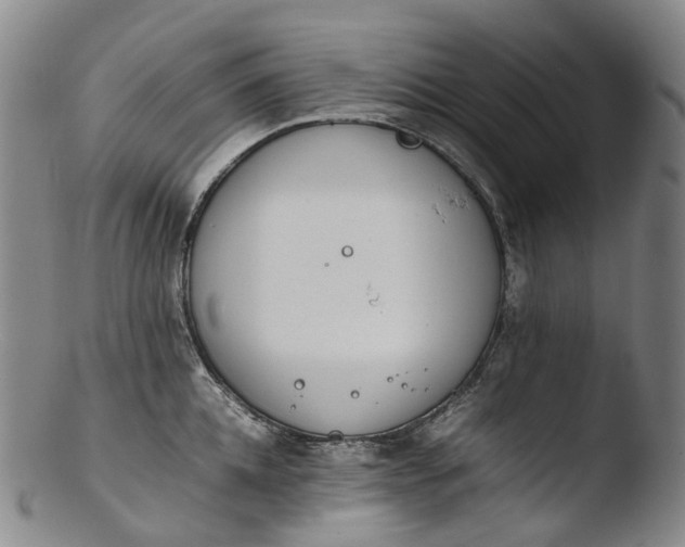 X0000103450952200809261814