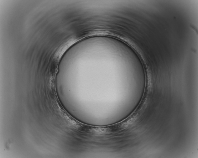 X0000103450953200809261814