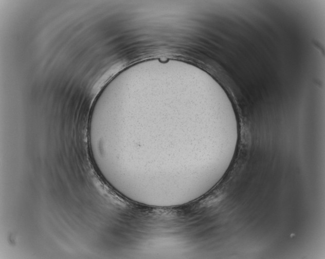 X0000103450954200809261814