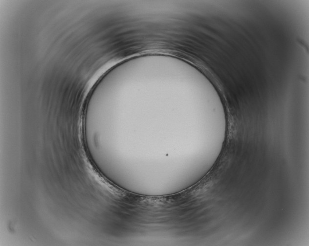 X0000103450955200809261814