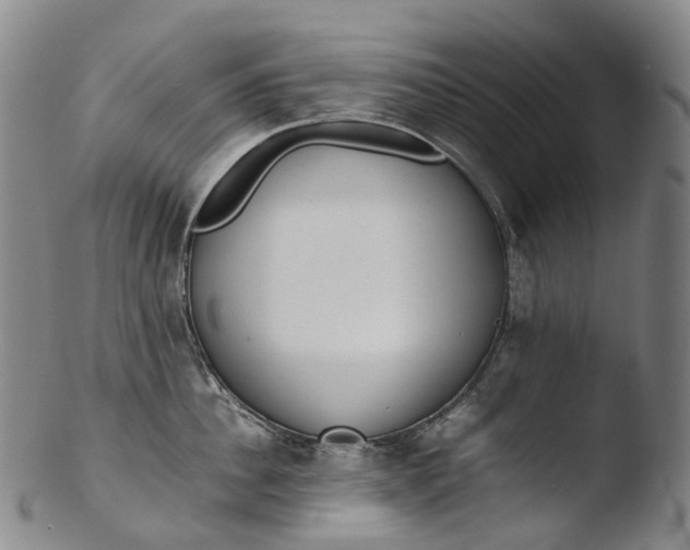 X0000103450956200809261814