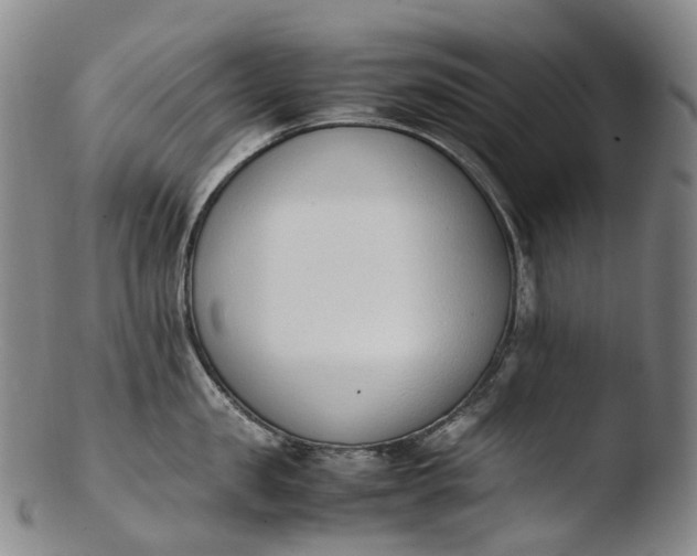 X0000103450957200809261814