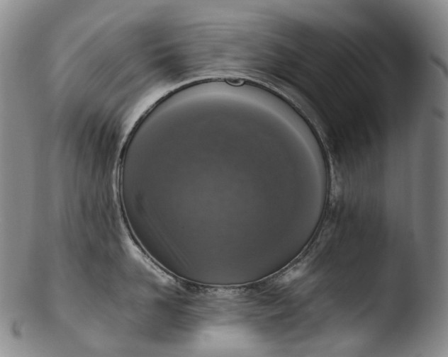 X0000103450958200809261814