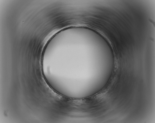 X0000103450959200809261814