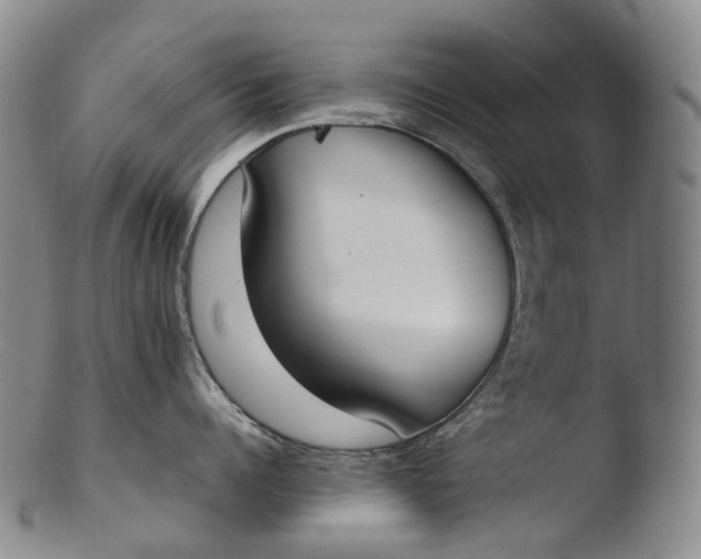 X0000103450960200809261814