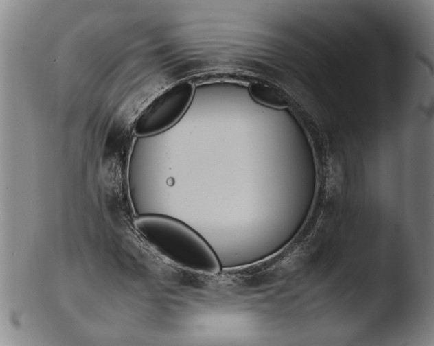 X0000103450969200809261813