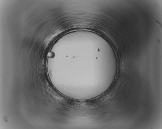 X0000103450971200809261813