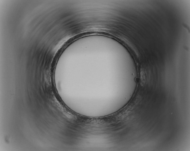 X0000103450972200809261813