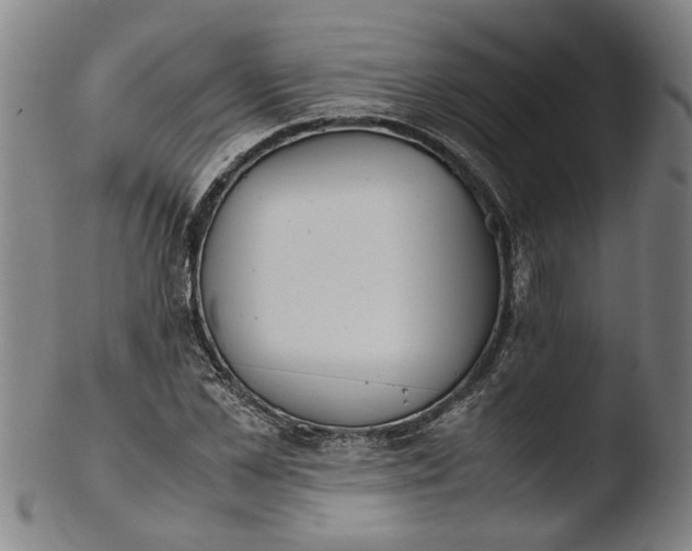 X0000103450973200809261813