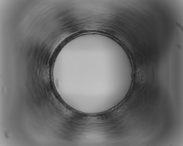 X0000103450976200809261813