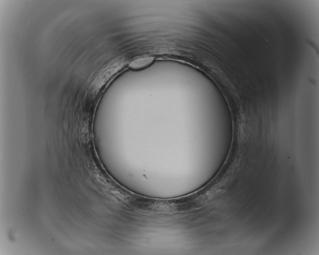 X0000103450977200809261813