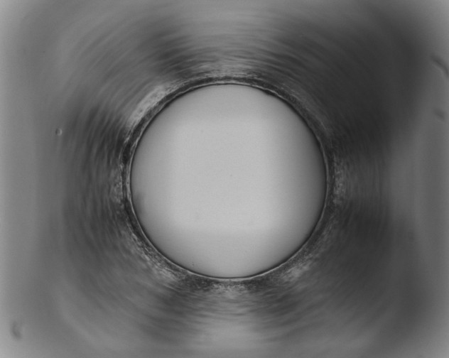 X0000103450978200809261813