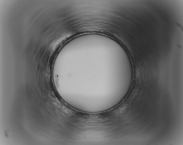 X0000103450979200809261813