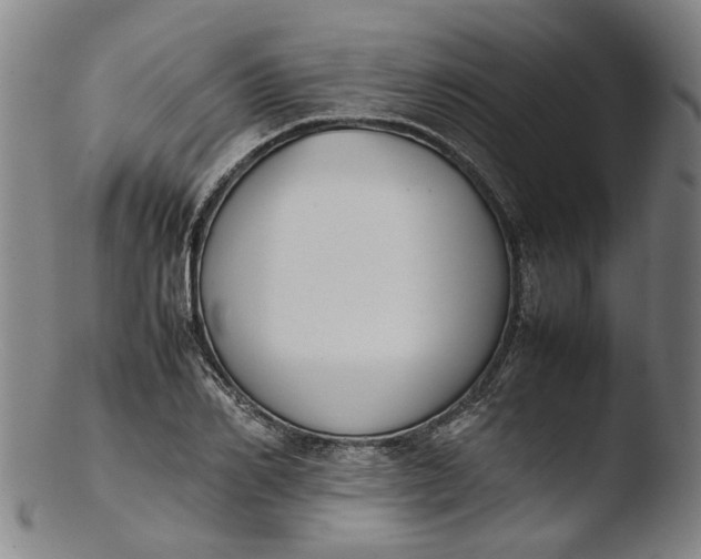 X0000103450982200809261813