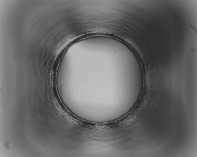 X0000103450983200809261813