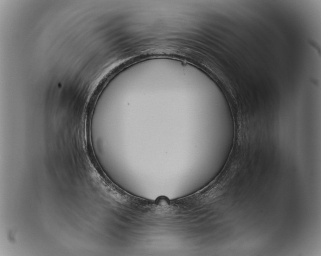 X0000103450984200809261813