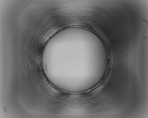 X0000103450985200809261813