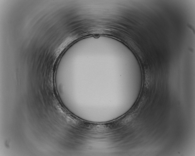 X0000103450986200809261813