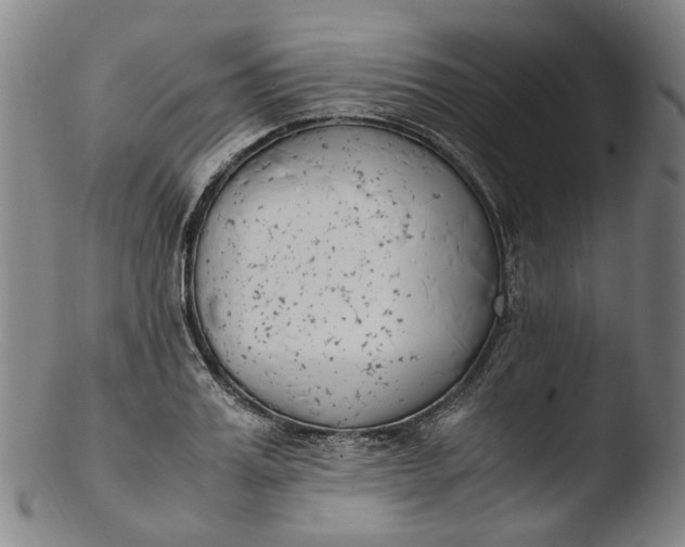 X0000103450987200809261813