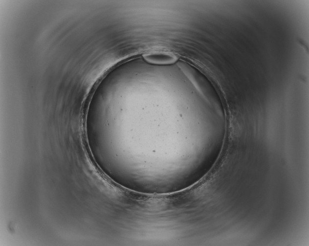 X0000103450989200809261813