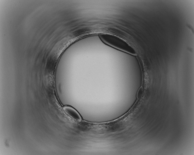 X0000103450993200809261813