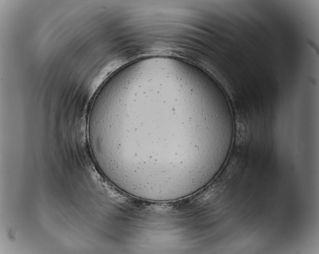 X0000103450994200809261813