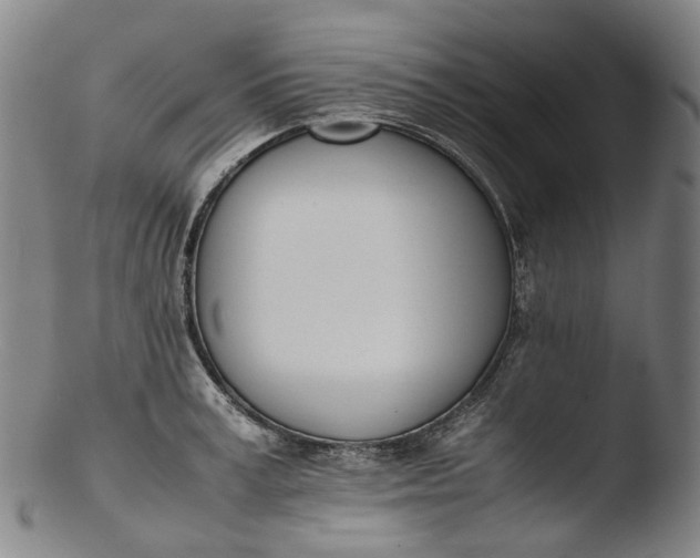 X0000103450995200809261813