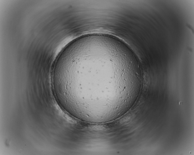 X0000103450998200809261813