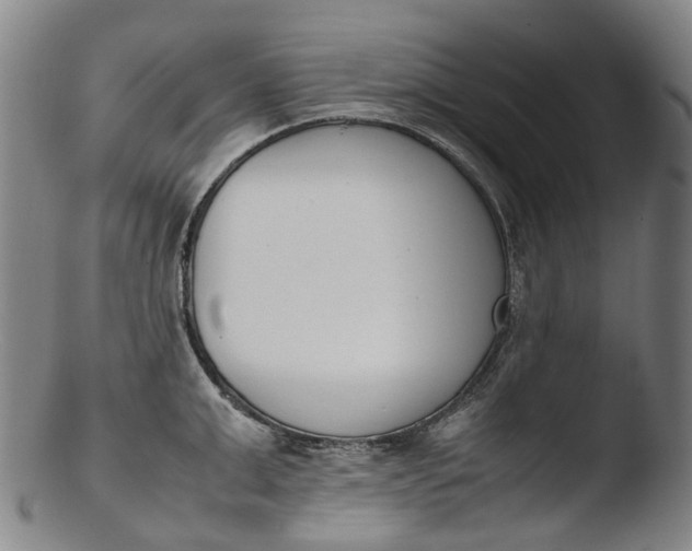 X0000103450999200809261813