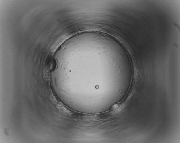 X0000103451001200809261812