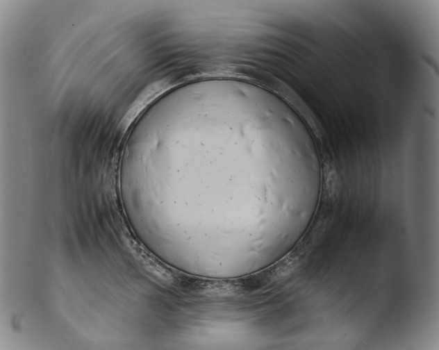 X0000103451002200809261812