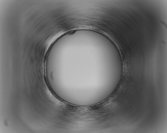 X0000103451003200809261812