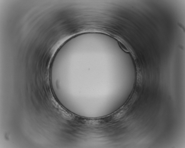 X0000103451004200809261812