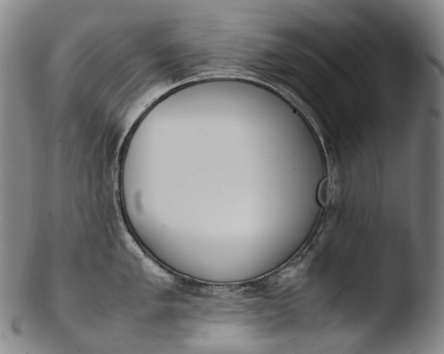 X0000103451005200809261812