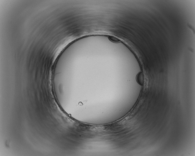 X0000103451006200809261812